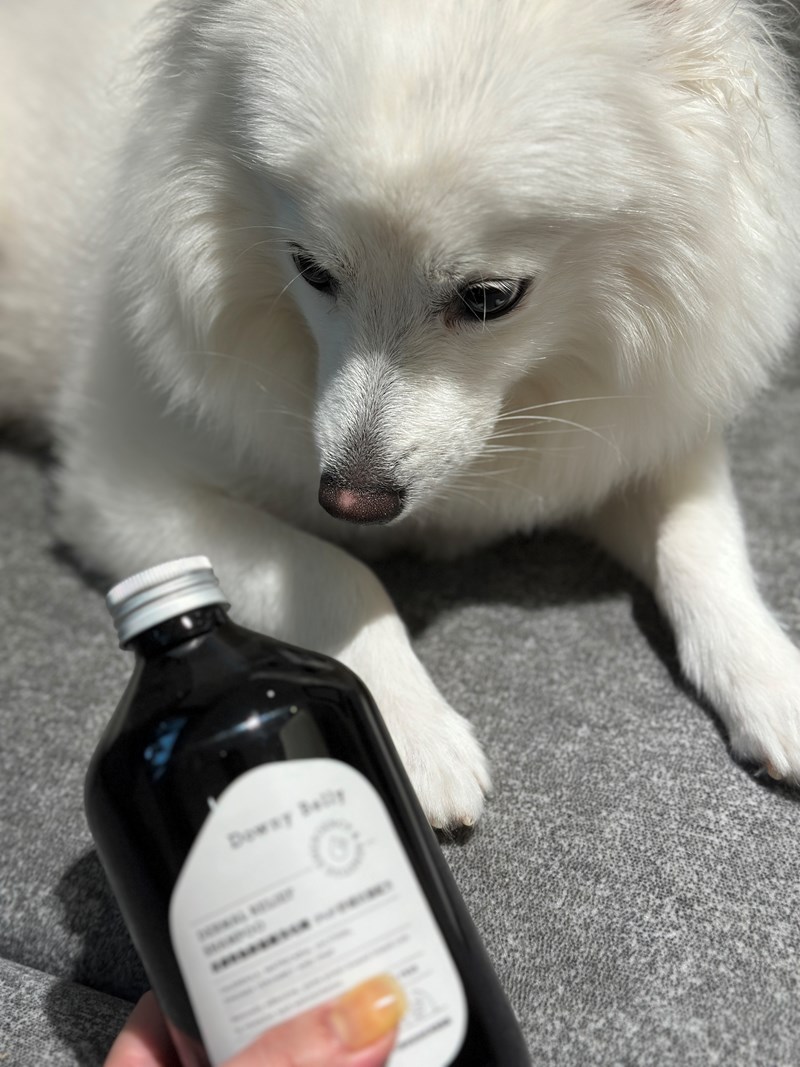 女人知己試用大隊,口碑行銷,部落客行銷,Downy Belly毛肚子,Downy Belly 保濕滋養胺基酸洗毛精,紅球薑淨膚配方,Downy Belly 保濕滋養胺基酸洗毛精-紅球薑淨膚配方,洗品天生防禦力，皮膚天生就很強,除了洗乾淨，其他的真的先不用,胺基酸清潔因子,好的界面活性劑，才能好洗,好沖淨,不易殘留,適量的細緻泡泡,狗貓皆適用,加拿大毒物學家安全把關,100%環保回收料再製瓶器,零廢棄為目標,低敏洗毛精,寵物訓練師好評,Downy Belly毛肚子,Downy Belly 皮膚救急胺基酸洗毛精,IPMP舒緩配方,Downy Belly 皮膚救急胺基酸洗毛精-IPMP舒緩配方,洗品天生防禦力,皮膚天生就很強,除了洗乾淨,其他的真的先不用,胺基酸清潔因子,APG+胺基酸清潔因子,IPMP高安全的成分,好的界面活性劑,才能好洗、好沖淨、不易殘留,適量的細緻泡泡,狗貓皆適用,加拿大毒物學家安全把關,100%環保回收料再製瓶器,零廢棄為目標,低敏洗毛精,寵物訓練師好評